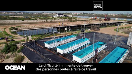 D'anciens détenus prennent un nouveau départ dans l'économie bleue européenne