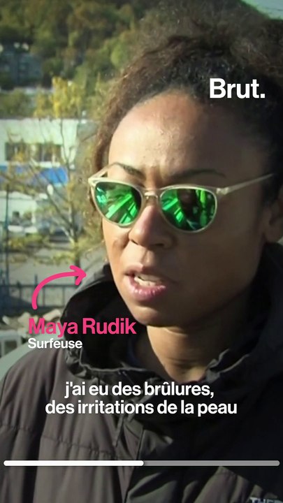 En Russie, un cimetière d'animaux marins