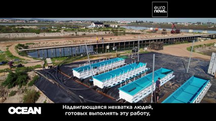 Привлечь правонарушителей: морские отрасли ЕС готовы брать на работу бывших заключённых