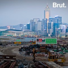 Déforestation, élevage intensif : les facteurs favorisant les épidémies