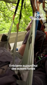 11 jours perché dans un arbre au pied de la tour Eiffel