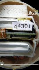 De faux oeufs de tortues pour lutter contre le braconnage