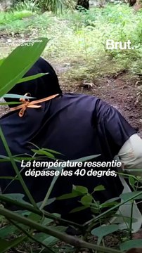 Exploitation et travail forcé d’enfants derrière l’huile de palme