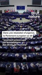 Le Parlement européen dénonce deux projets de Total