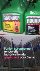 Pesticides : en France, on en est où ?