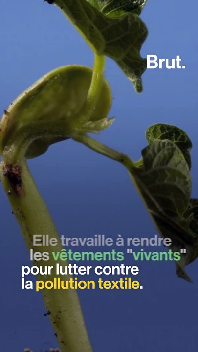 Des vêtements en tissu vivant