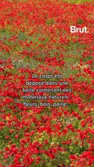 La Californie autorise le compost humain