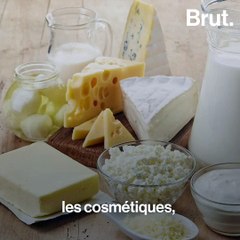 Chloé Tesla, mannequin et militante végane