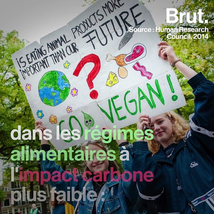 Les femmes sont-elles plus écolos que les hommes ?