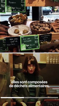 Vépluche transforme les déchets alimentaires en terreau naturel