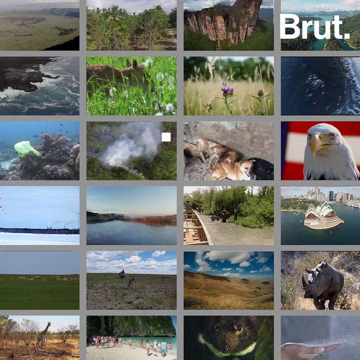 24 bonnes nouvelles pour la planète en 2020