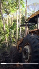 Le monde a perdu 178 millions d’hectares de forêt depuis 1990