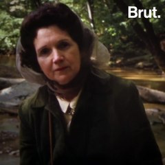 La vie de Rachel Carson, biologiste marine et environnementaliste