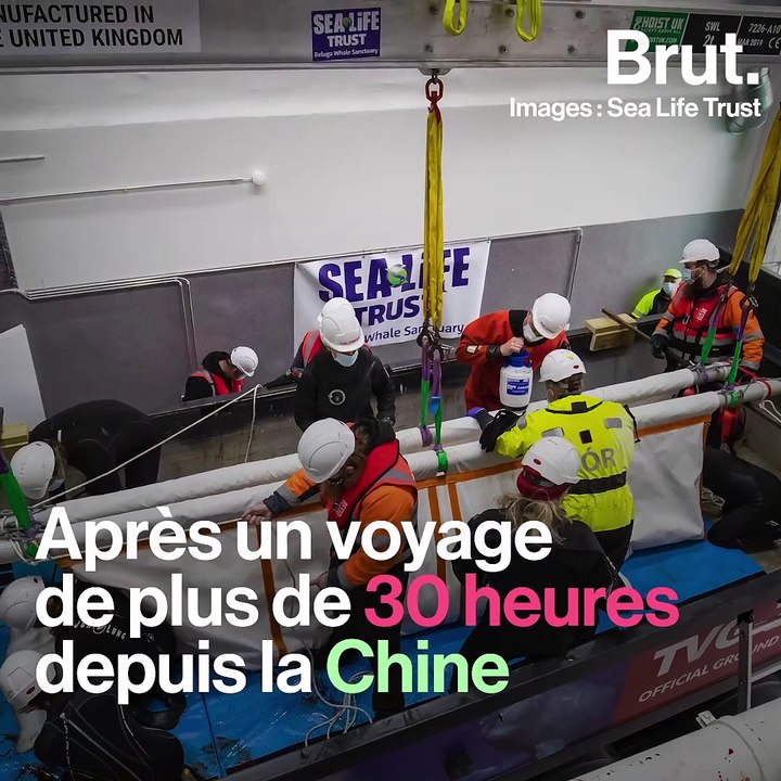 5 bonnes nouvelles pour la planète en août 2020