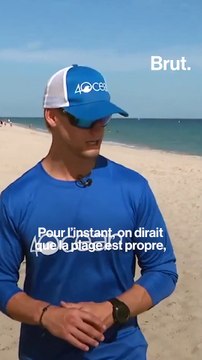 Ce robot 100% électrique traque les déchets sur la plage