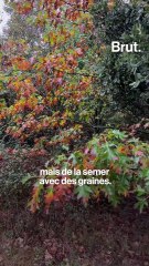 Dans "La Vallée" de Fabrice Hyber