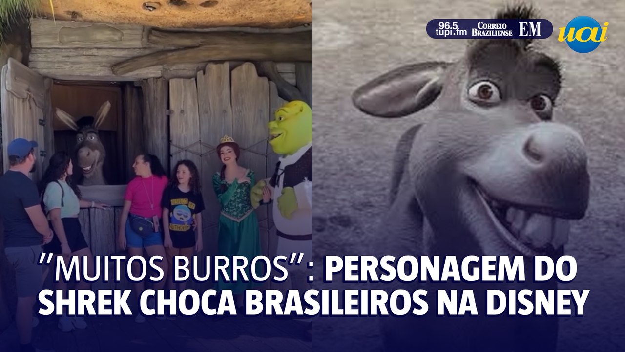 Burro do Shrek surpreende turistas brasileiros: 'Muitos burros por lá'