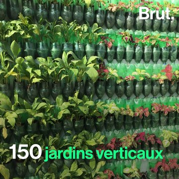 Inde : Un homme crée des jardins contre la pollution