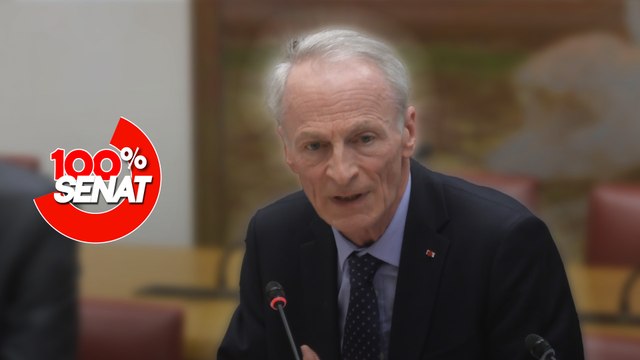 100% Sénat - Aides publiques aux entreprises : audition du patron de Renault