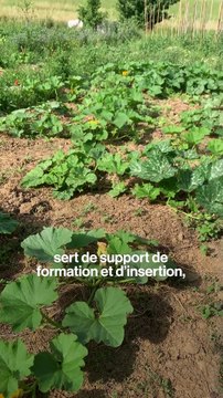 Visite de la première école de la transition écologique en France