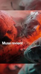 Muse : presque 30 ans de carrière