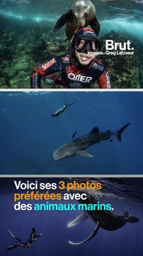 En photo : Pierre Frolla a approché des centaines d'espèces marines