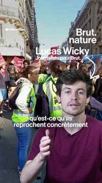 3 choses que les activistes reprochent à Total