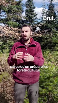 Il prépare “les forêts du futur”
