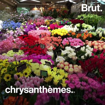 Le marché mondial des fleurs et son impact écologique