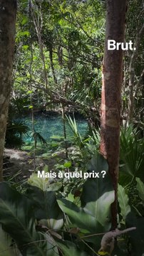 Au Mexique, le projet du train maya menace l'environnement