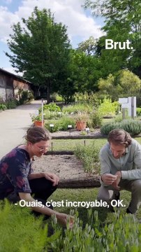 Une alternative saine aux sodas trop sucrés