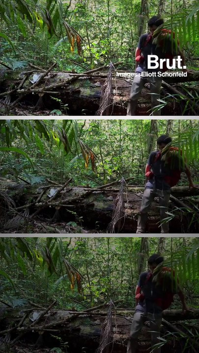 Entretien avec le baroudeur Eliott Schonfeld