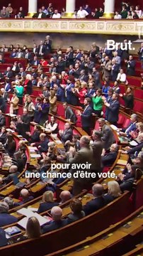Comment ça se passe pour voter une loi, concrètement ?