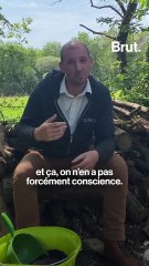 Des bornes collectives pour transformer les déchets en compost
