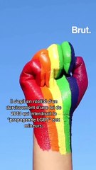 Une nouvelle loi pour interdire “la propagande LGBT+” en Russie