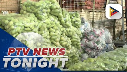 Gov’t eyes establishment of 2 mega food hubs