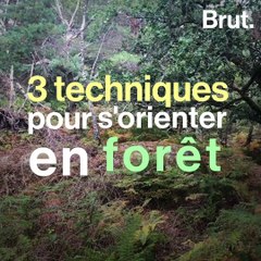 Se débrouiller en pleine nature : comment s'orienter en forêt