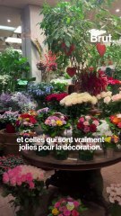 Elle partage l'art des cocktails