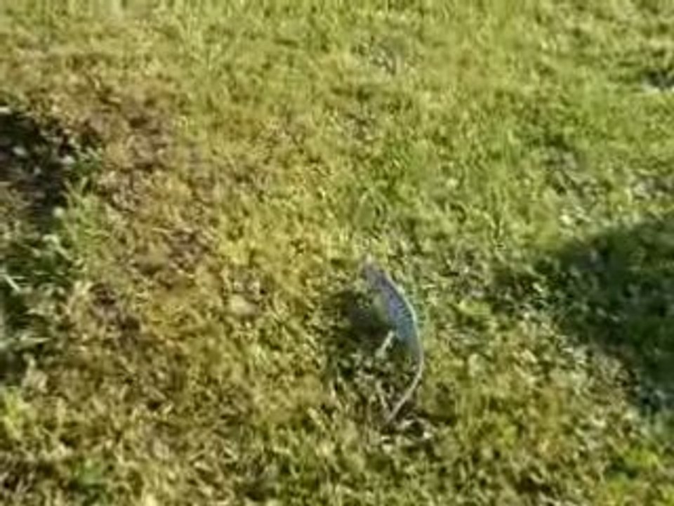 MOV01593