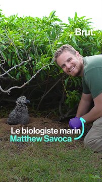 Les dangers cachés du plastique pour les animaux marins