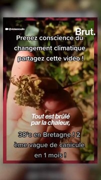 Sécheresse : comment en est-on arrivé là ?