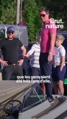 Un morse tué en Norvège car le public s'en approchait trop