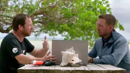 "Welcome to Wildlife Odyssey: Explore the Wild