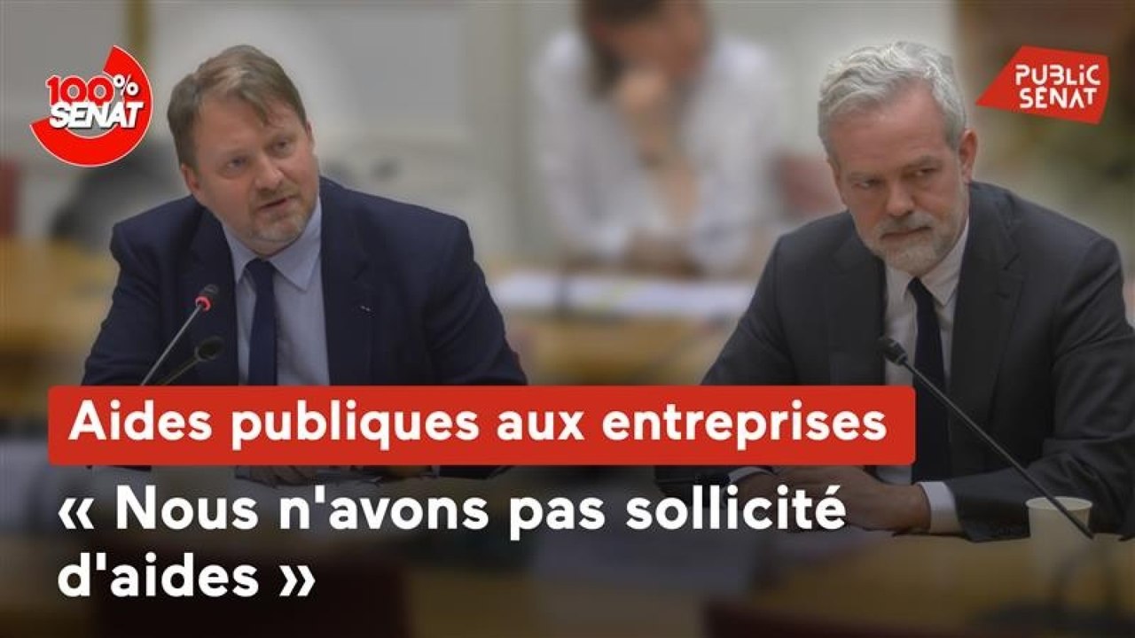 Aides publiques aux entreprises : audition de Google France au Sénat