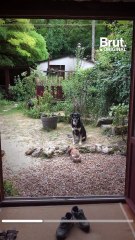 Mélanie et Florent vivent dans une maison creusée dans la roche