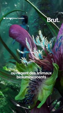 James Cameron raconte l'histoire derrière Avatar 2