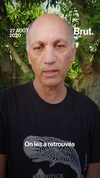 Île Maurice : des dizaines de dauphins retrouvés morts