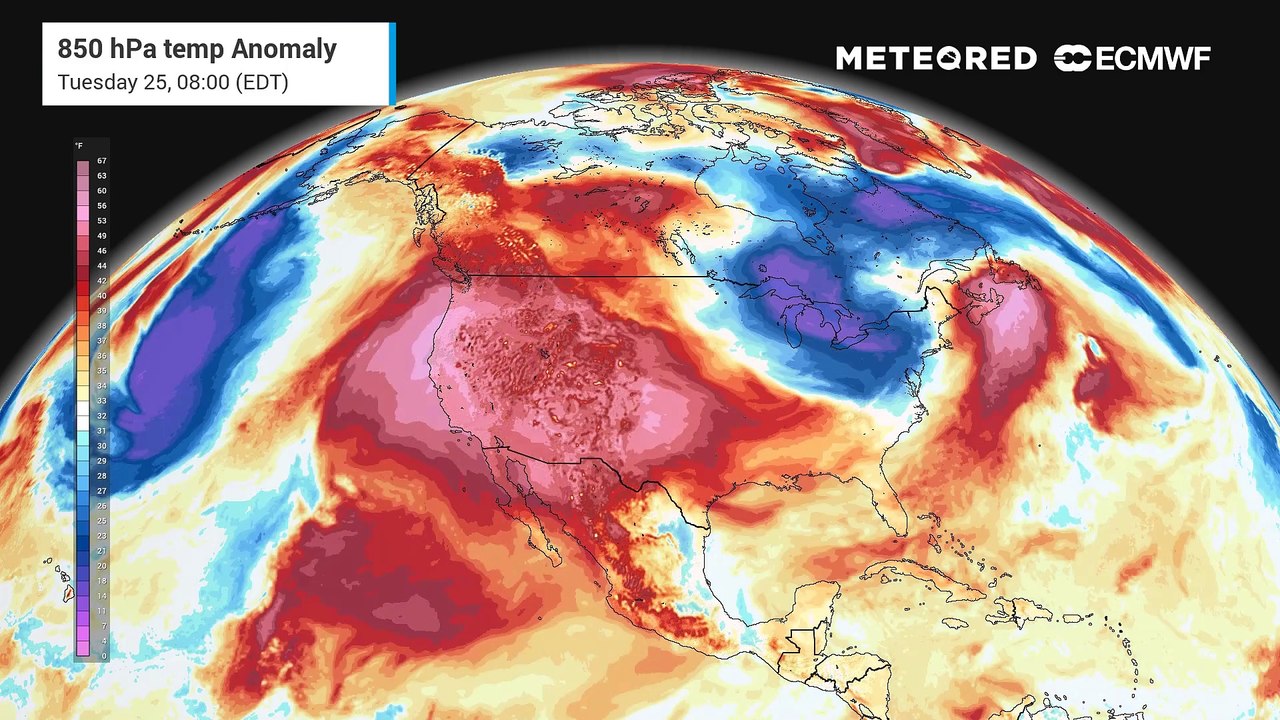 Temperature Anomaly