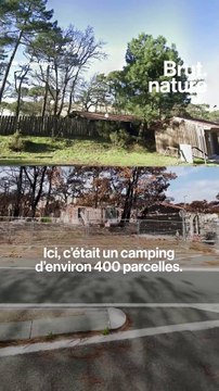 Nos forêts, avant et après les grands feux