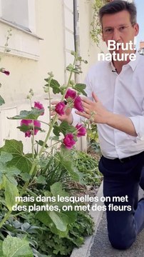 Voici 5 façons de rafraîchir une ville en la végétalisant